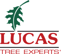 LTEC Logo Red R Ball STACKED